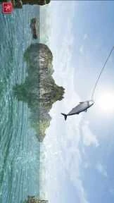 怪物钓鱼：锦标赛（无限货币宝石）